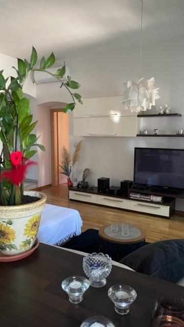 Apartment Marina Rijeka Eksteriør bilde