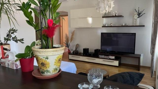 Apartment Marina Rijeka Eksteriør bilde