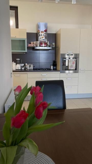 Apartment Marina Rijeka Eksteriør bilde